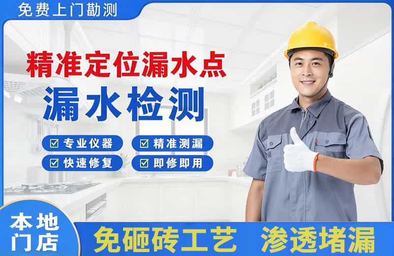 田林精准测漏点